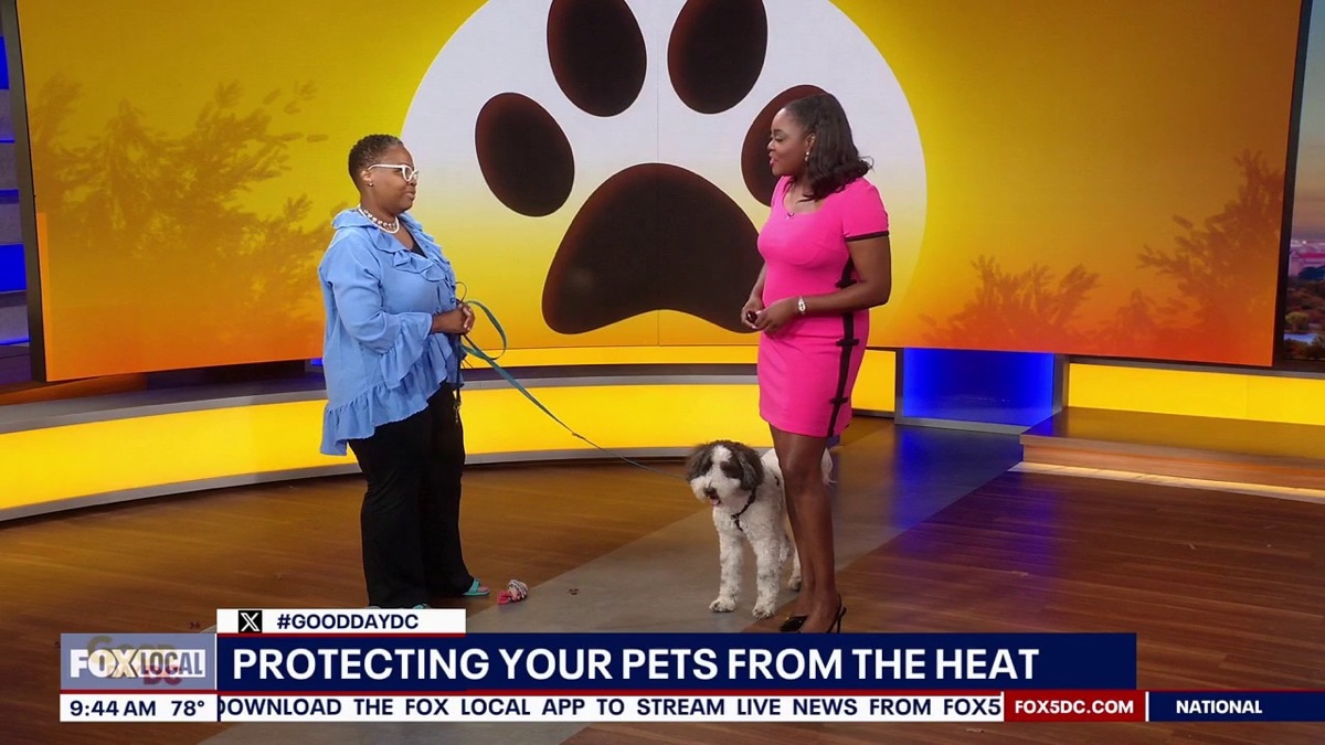 Tracy Murray of Saving Fido on FOX 5 DC